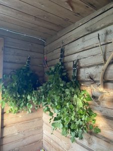 Vihdat sauna retriitti luonto